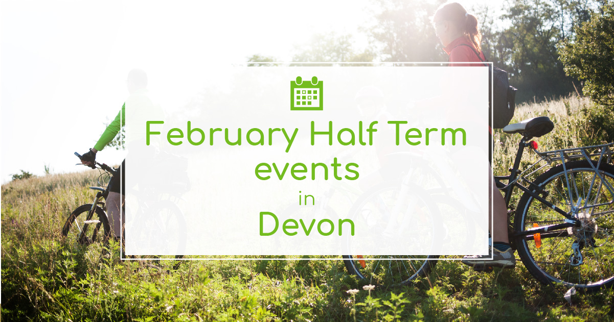Things To Do in Half Term in Devon The Tourist Trail