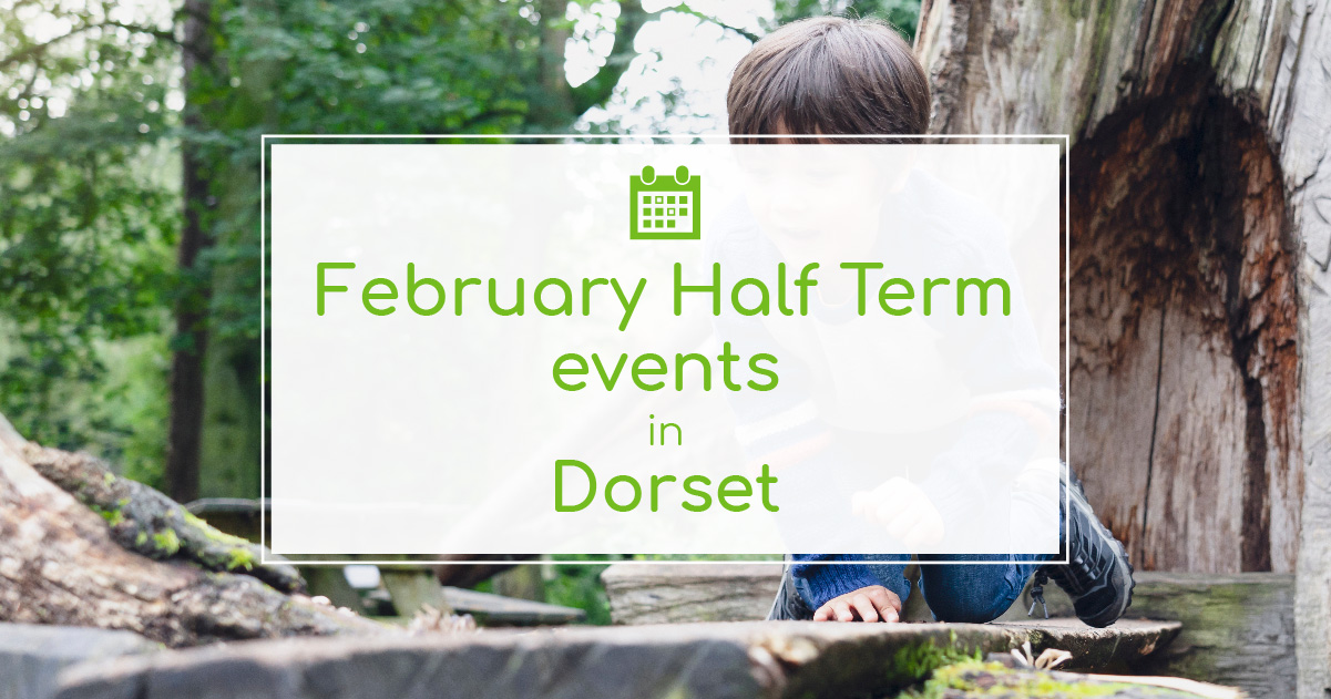 February 2025 Half Term Dorset Nedda Viviyan