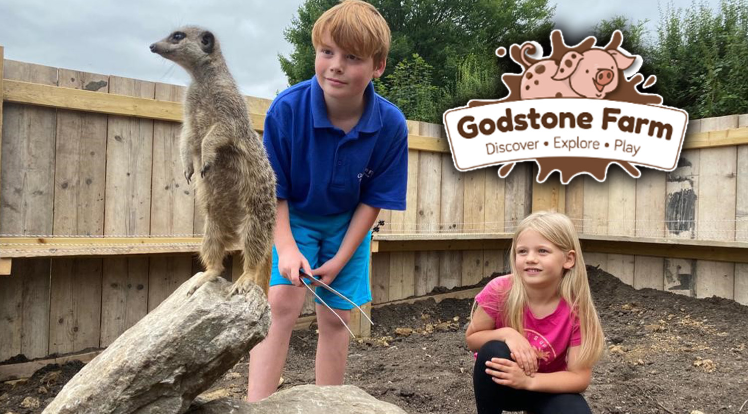 Godstone Races Wildlife Sanctuary Godstone