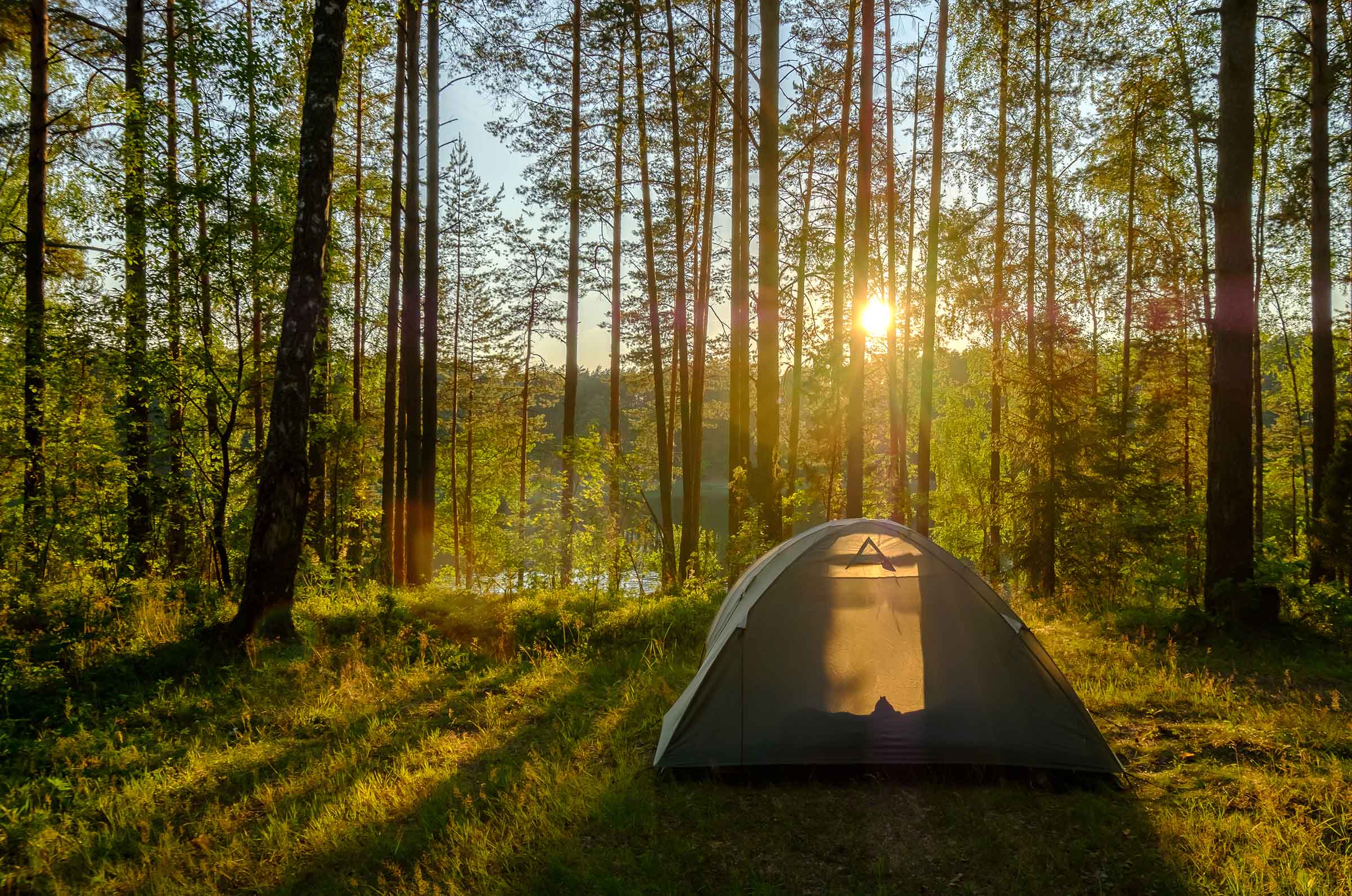 social-trends-camping