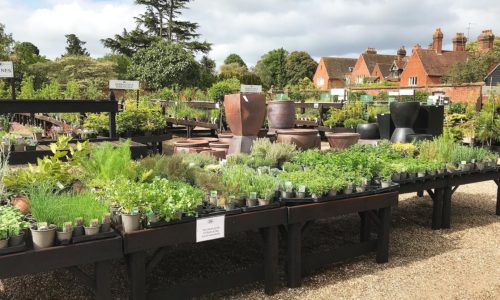 A Guide to Frinton-on-Sea | The Tourist Trail