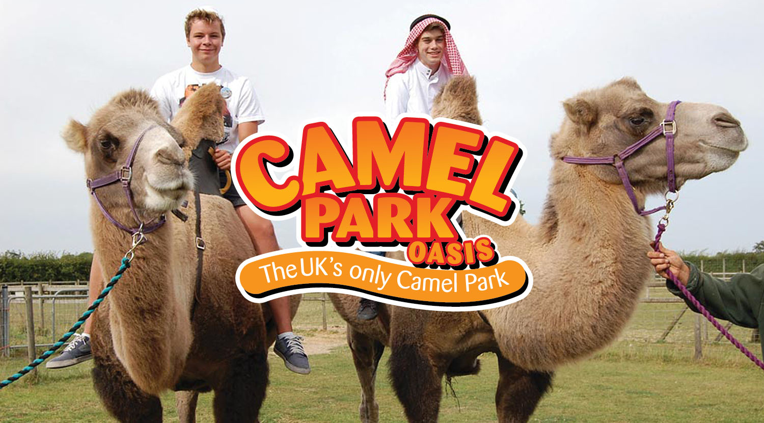 camel safari halesworth