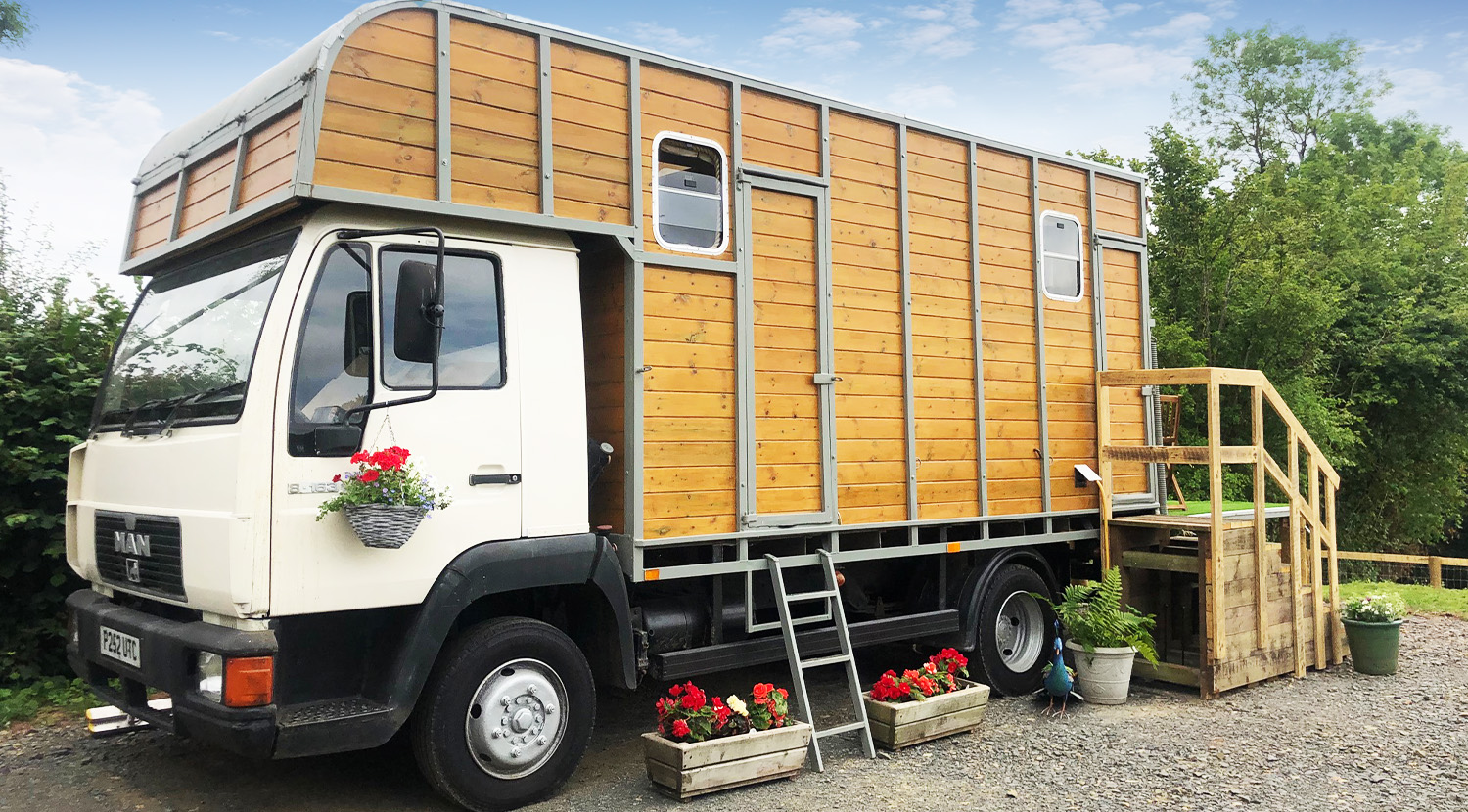 Betty the Homely Horsebox cover