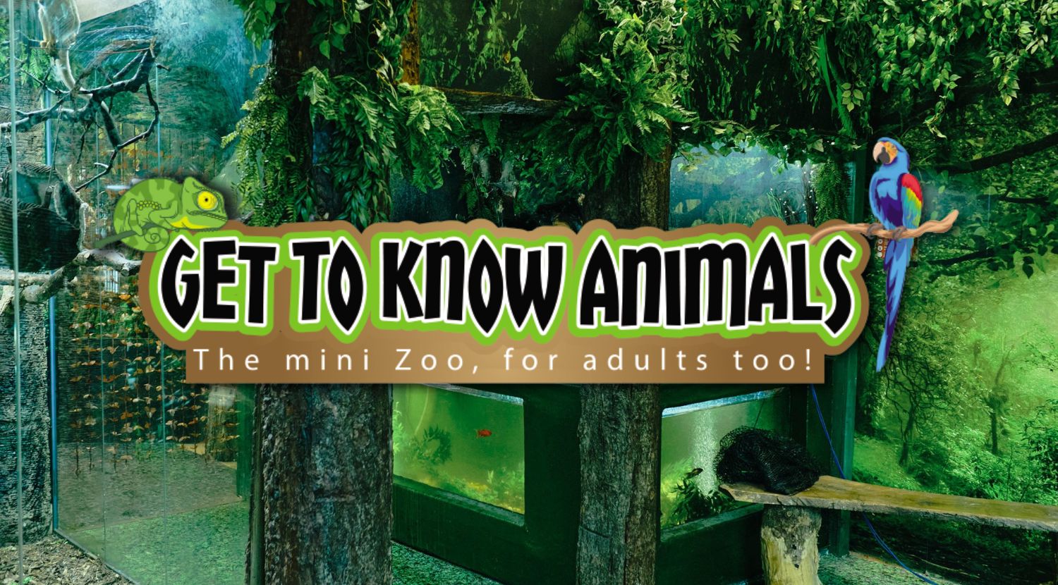 Get To Know Animals (GTKA)
