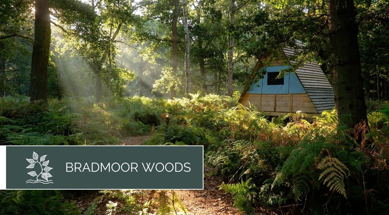 Bradmoor Woods