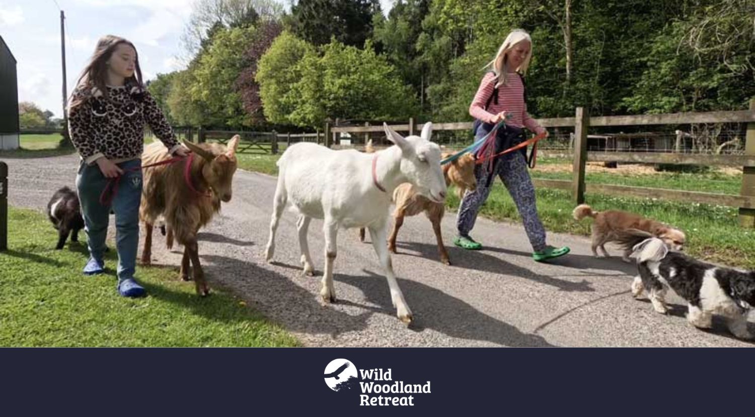 Goat Walk Experience - Wild Woodland Retreat