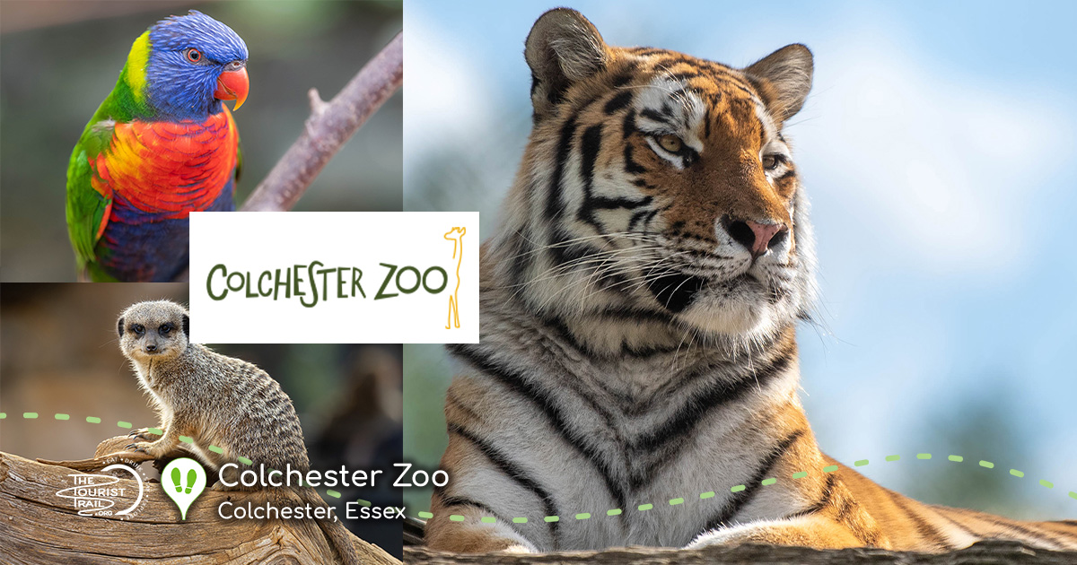 Colchester Zoo_SMPMain
