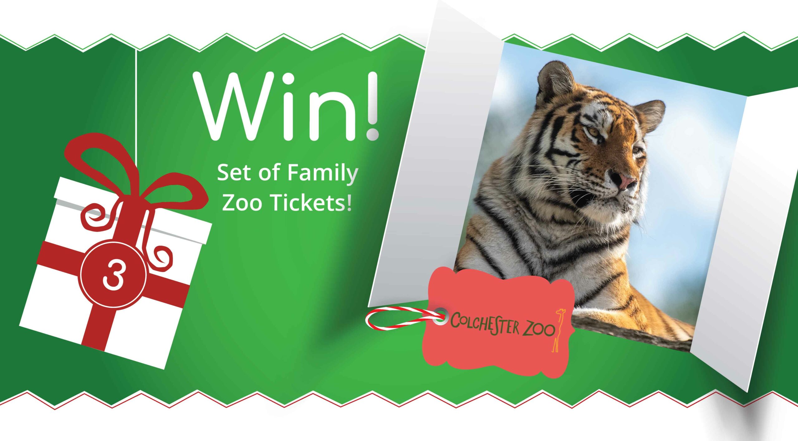 WIN £200 Family Tickets Colchester Zoo Day 3 The Tourist Trail